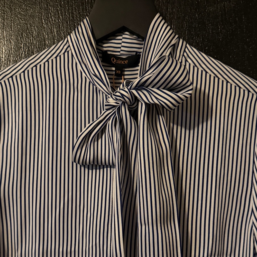 Quince Washable Stretch Silk Tie Neck Blouse - Picture 6 of 10